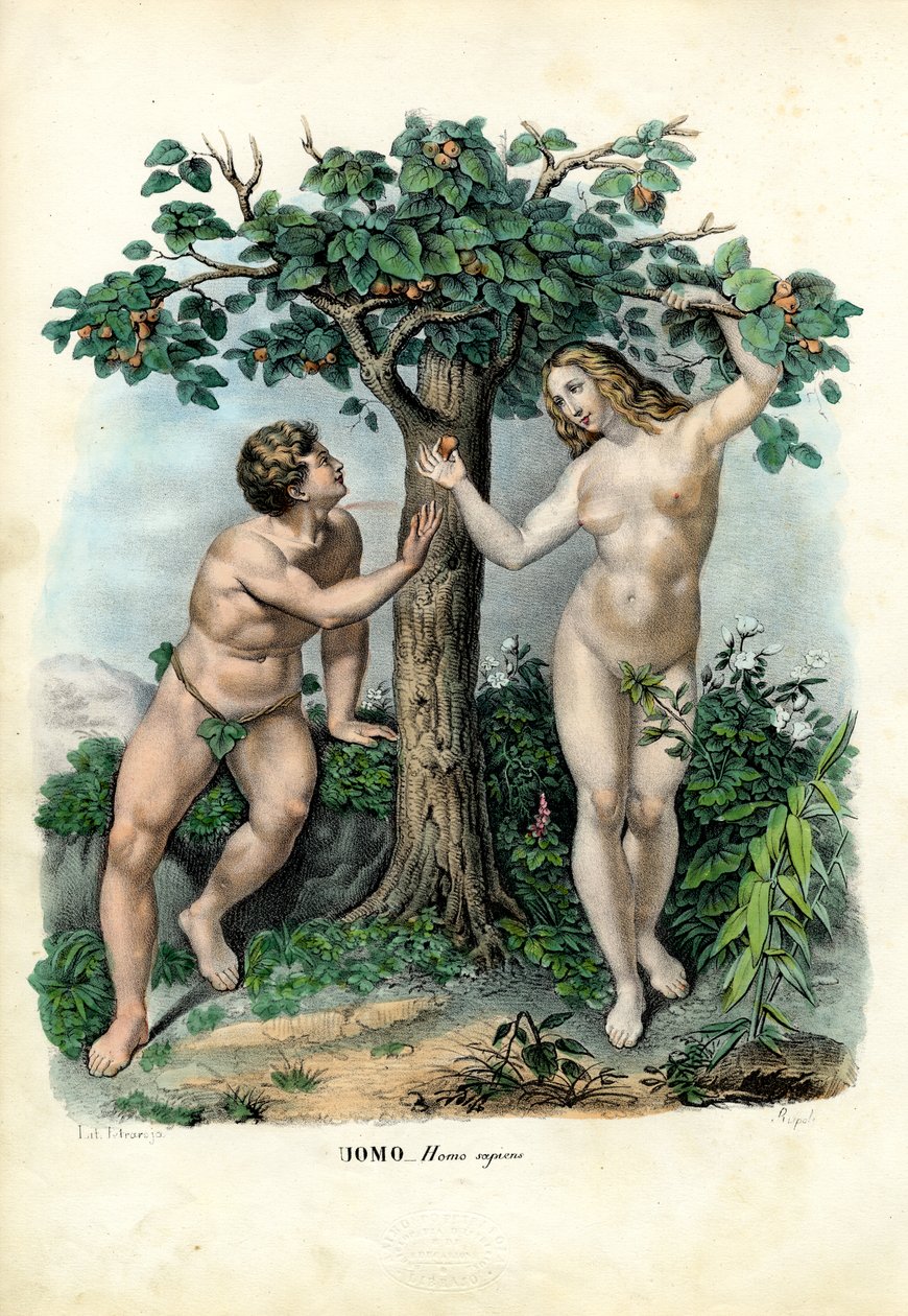 Människoraser, 1863-79 av Raimundo Petraroja