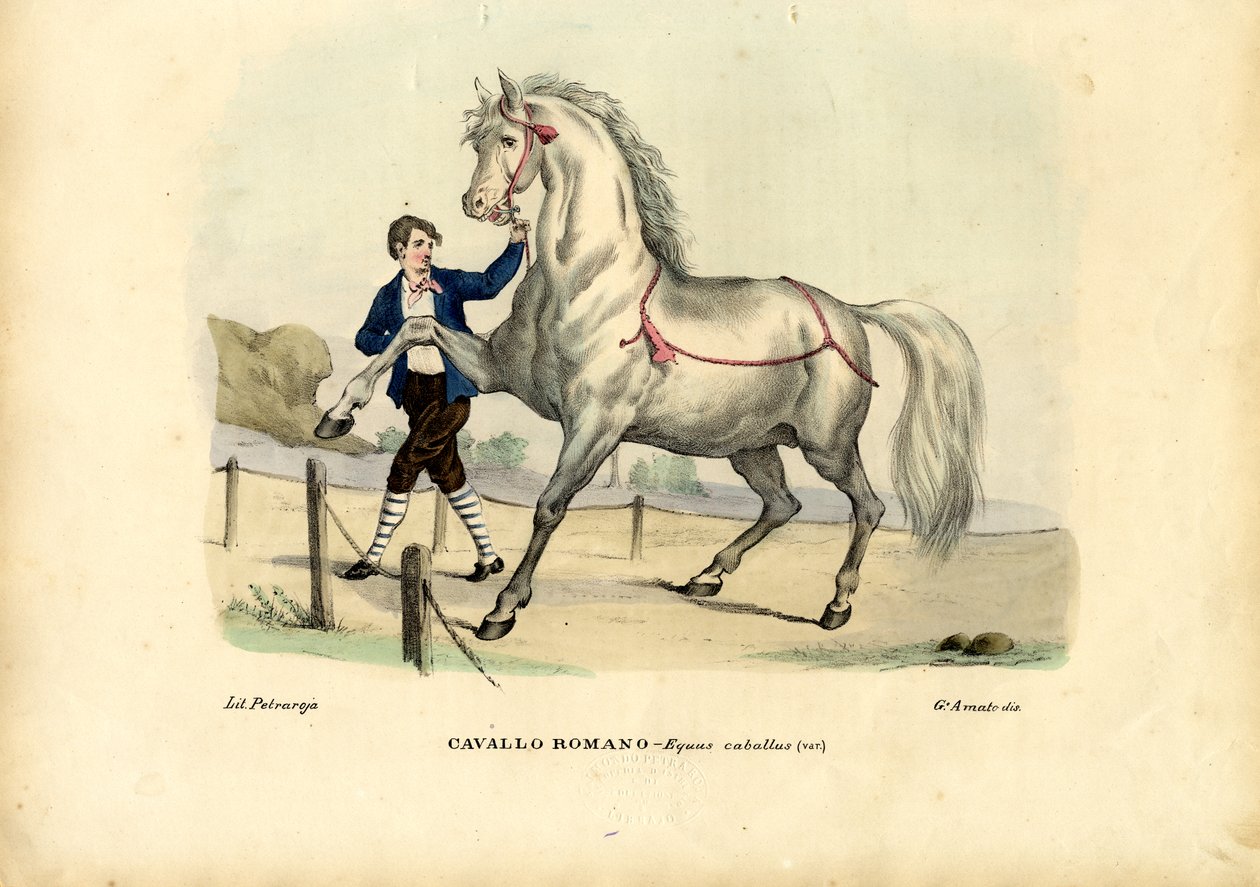 Italienska hästen, 1863-79 av Raimundo Petraroja