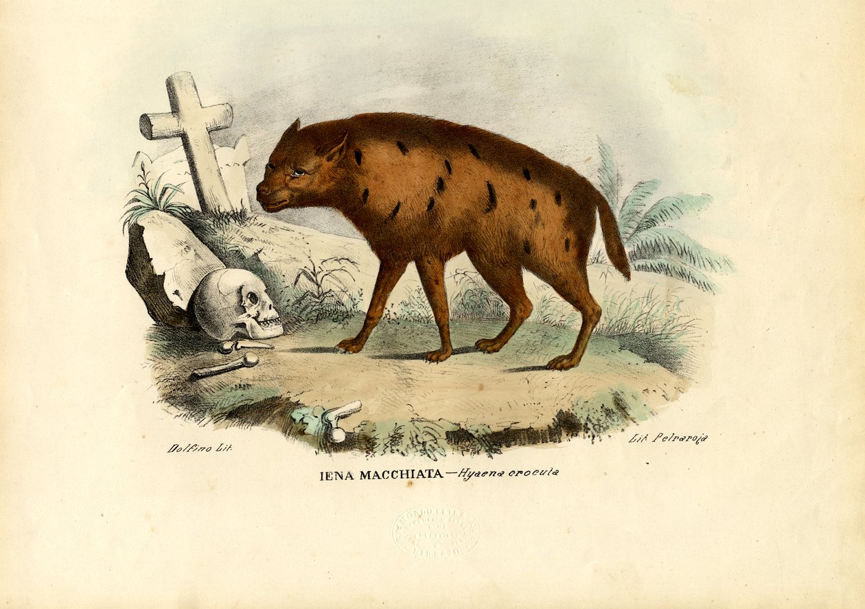 Den skrattande hyenan, 1863-79 av Raimundo Petraroja