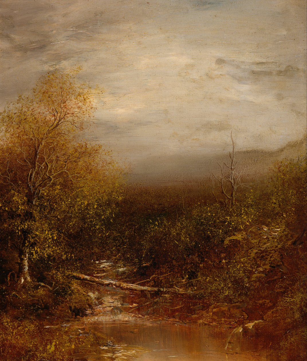 Pool i Adirondacks av Ralph Albert Blakelock