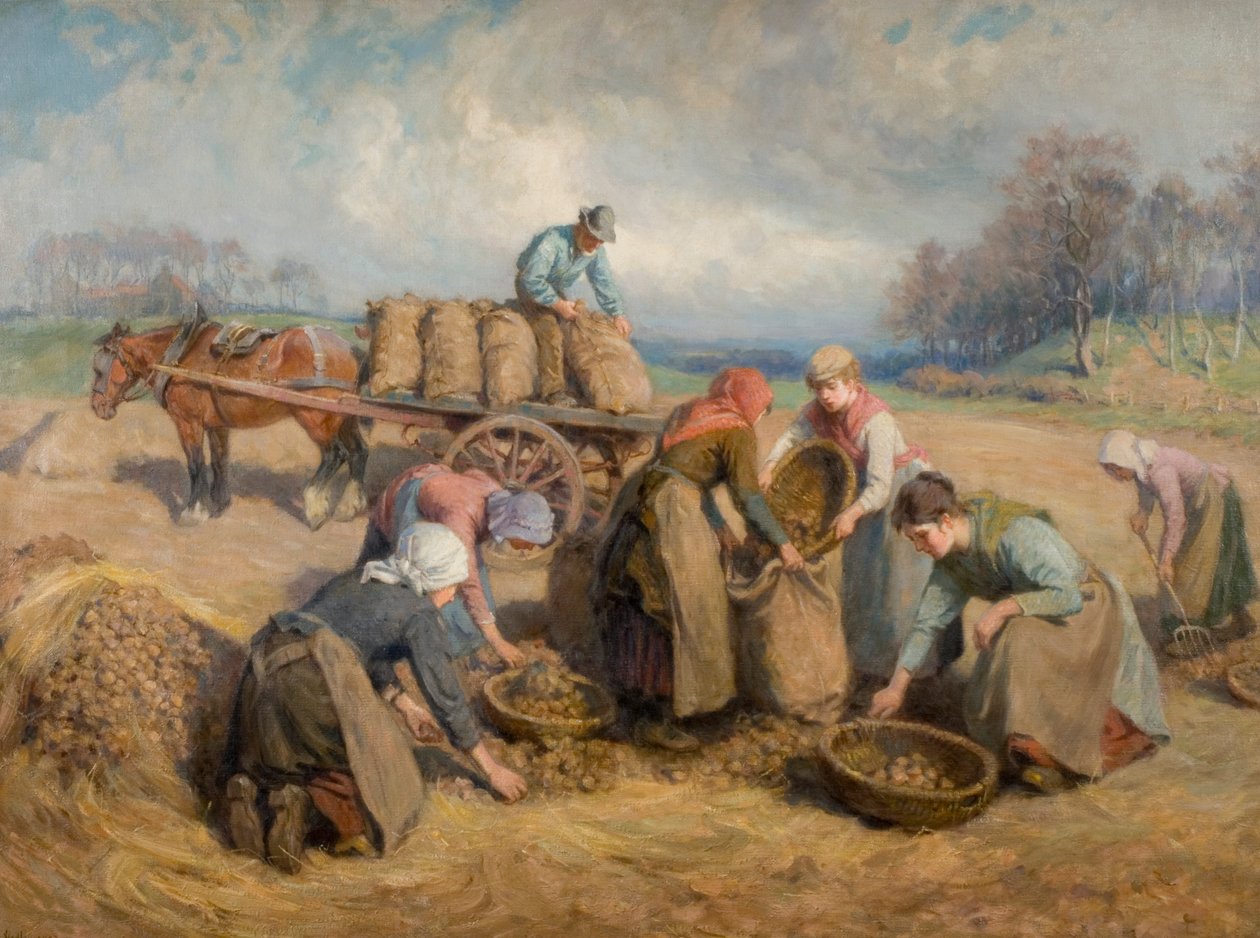 Potatissamlare, Northumberland, 1903 av Ralph Hedley