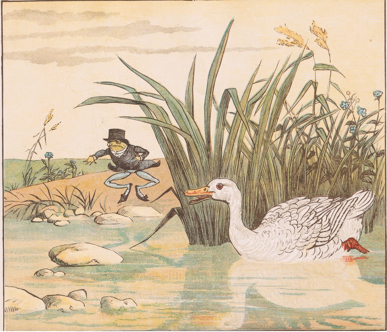 En liljevit anka slukade honom. av Randolph Caldecott