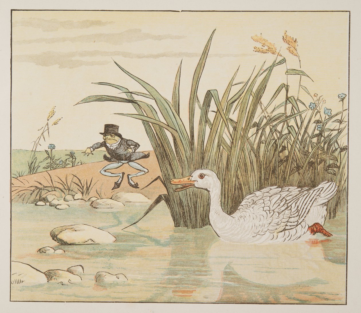 En liljevit anka kom och slukade honom, från The Hey Diddle Diddle Picture Book, pub.1882 (färggravyr) av Randolph Caldecott