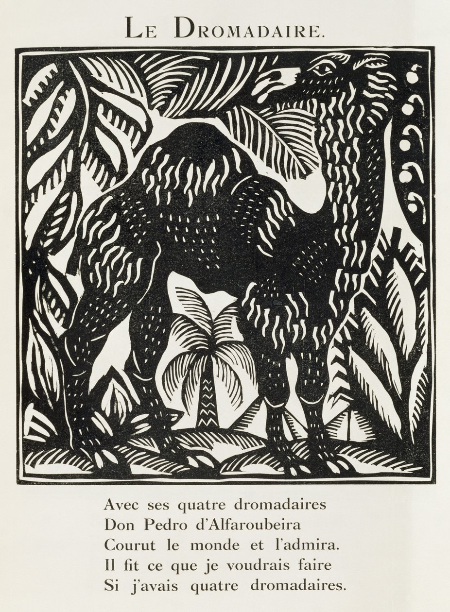 Dromedaren, illustration från "The Bestiary or Procession of Orpheus" (Orfeus bestiarium eller procession) av Raoul Dufy