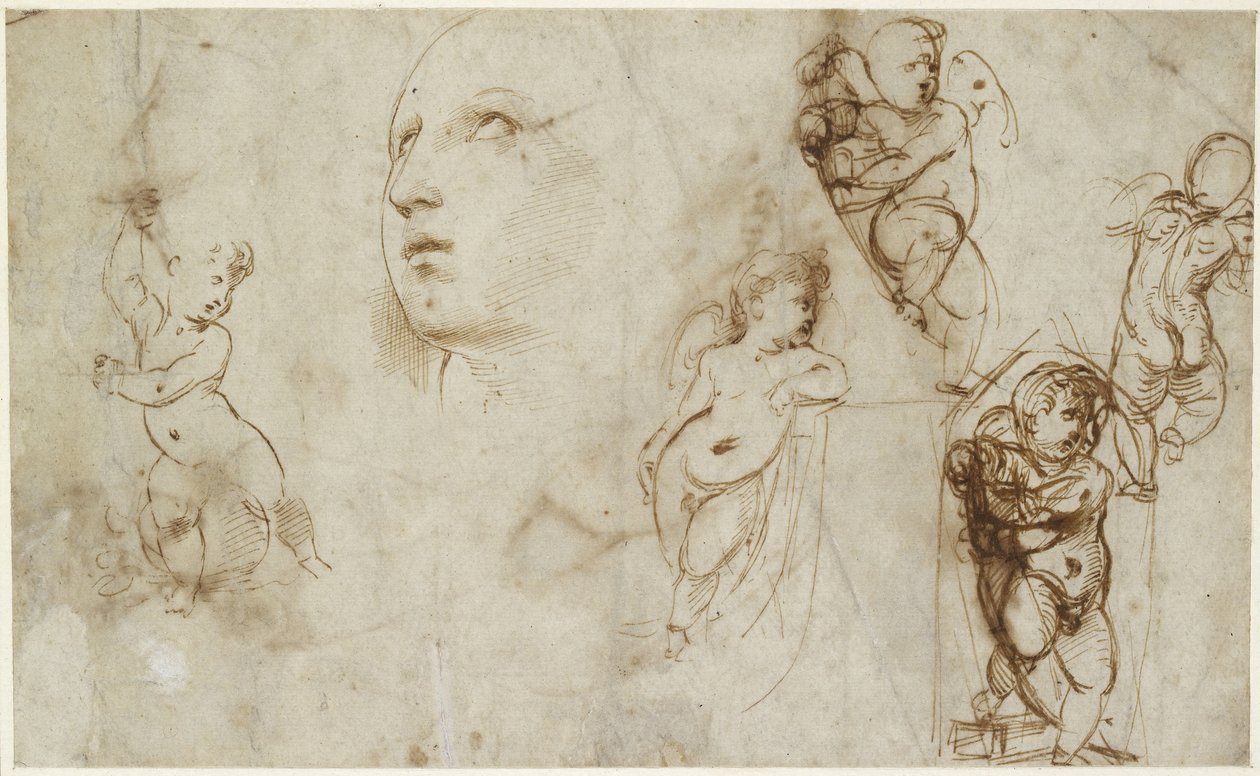 Recto: En kvinnlig chef för Borghese-Beckford St Catherine och diverse putti, WA1846.177 av Raffaello Sanzio Raphael