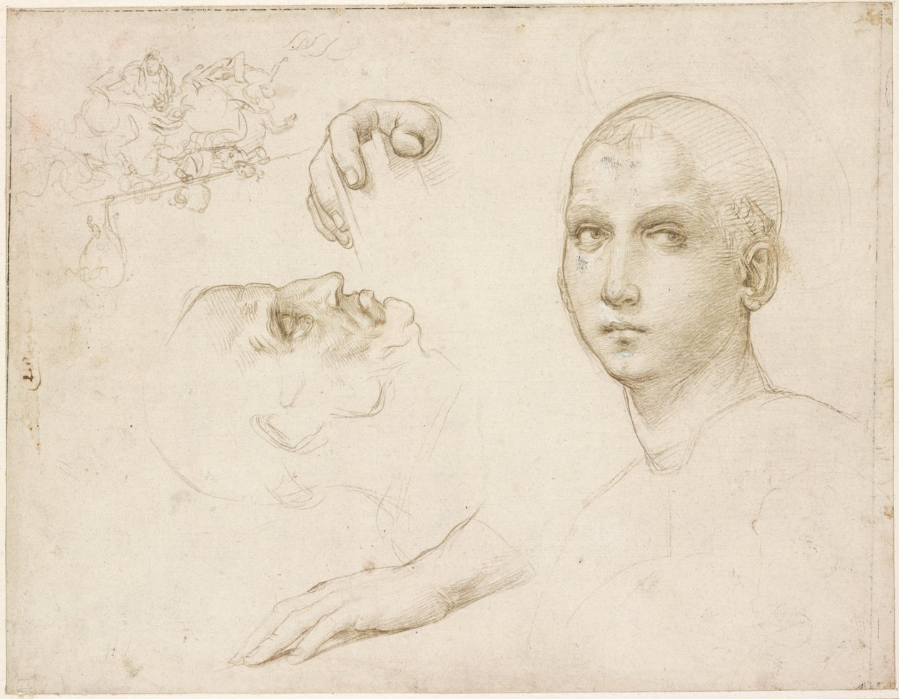 Studier för treenigheten i San Severo och skisser efter Leonardo, WA1846.176 av Raffaello Sanzio Raphael