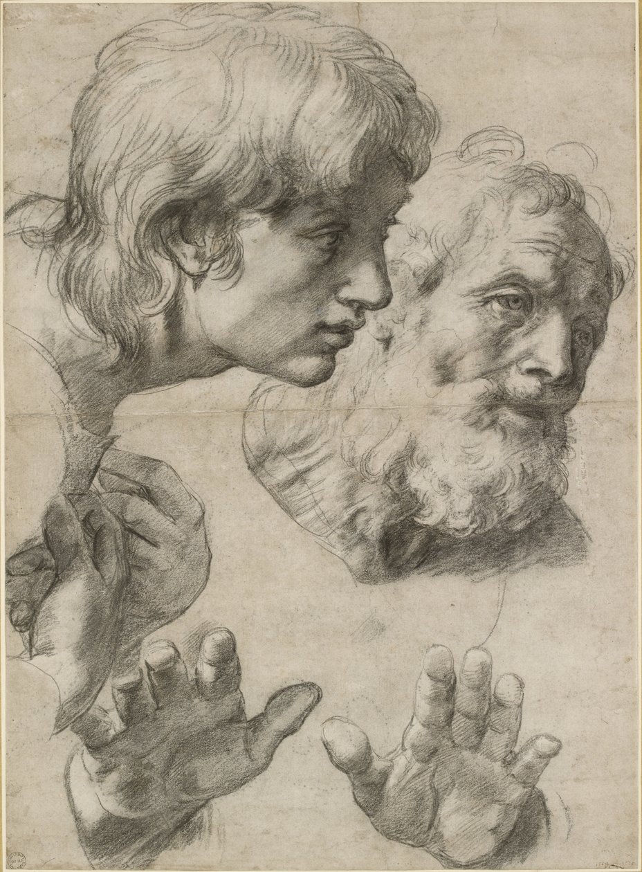 Studier av två apostlars huvuden och deras händer, WA1846.209 av Raffaello Sanzio Raphael