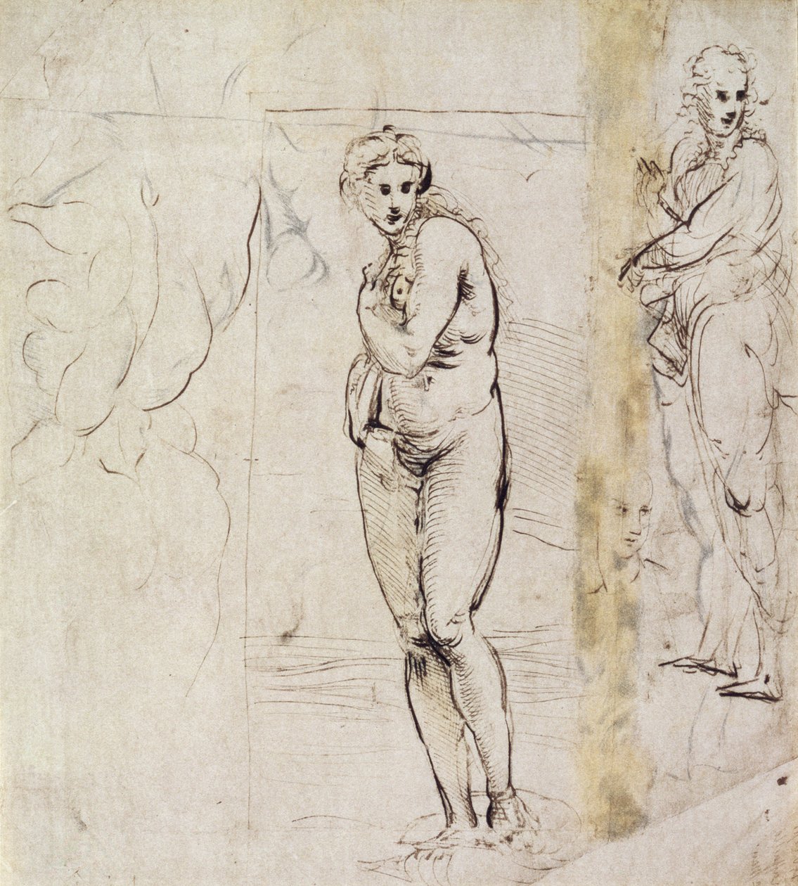 Studie av Venus (penna och bläck) av Raffaello Sanzio Raphael