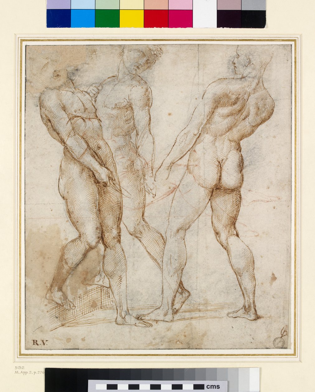 De nakna bärarna (studie för gravsättning) (penna och bläck med gouache på papper) av Raffaello Sanzio Raphael