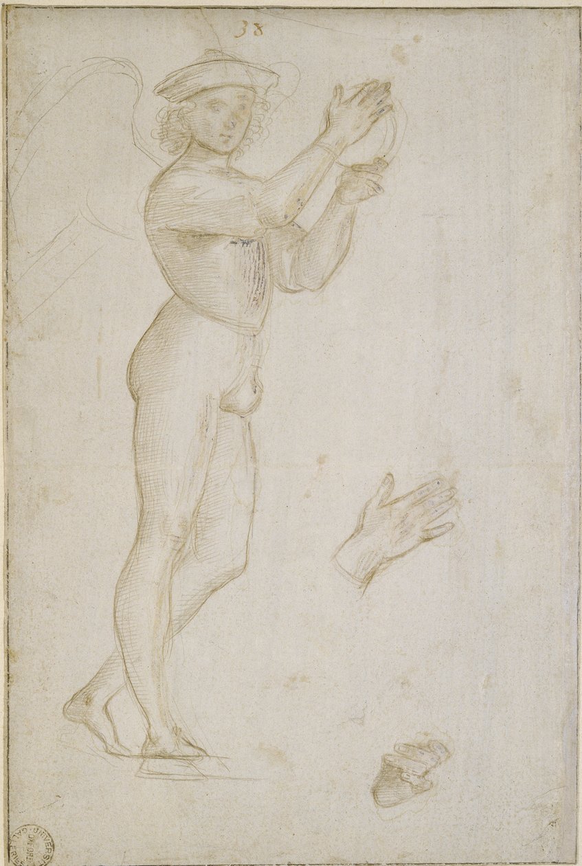 Två studier av Raffaello Sanzio Raphael