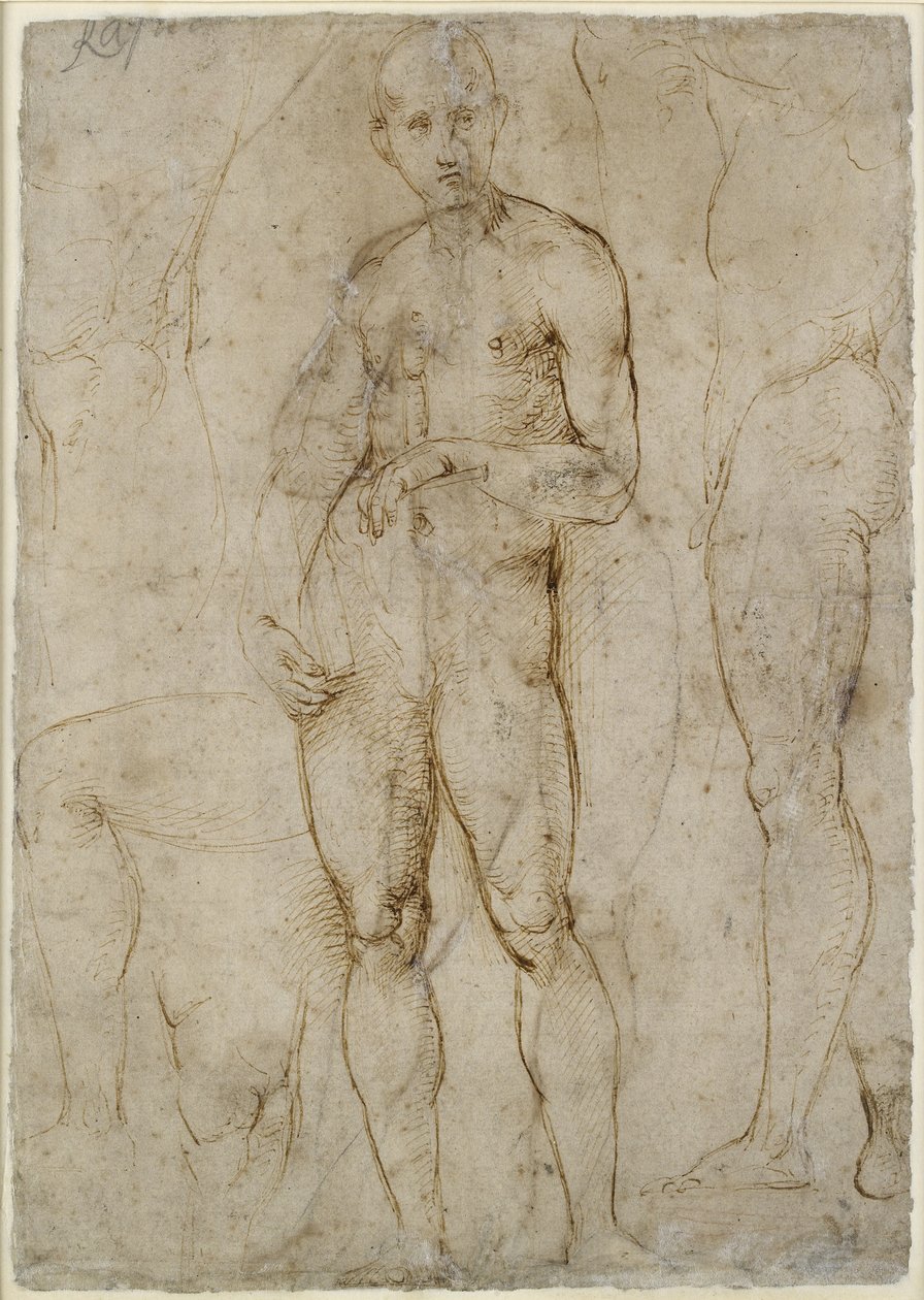 Verso: Nakenstudie för en St Paul, WA1846.163 av Raffaello Sanzio Raphael
