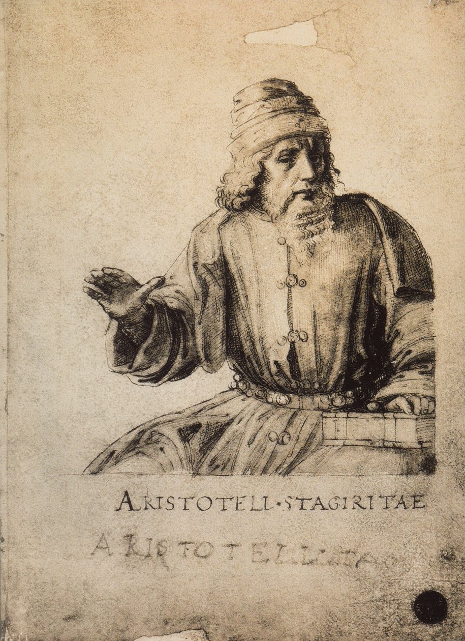 Aristoteles; teckning av Rafael. Gallerie dellAccademia, Venedig av Raffaello Sanzio Raphael