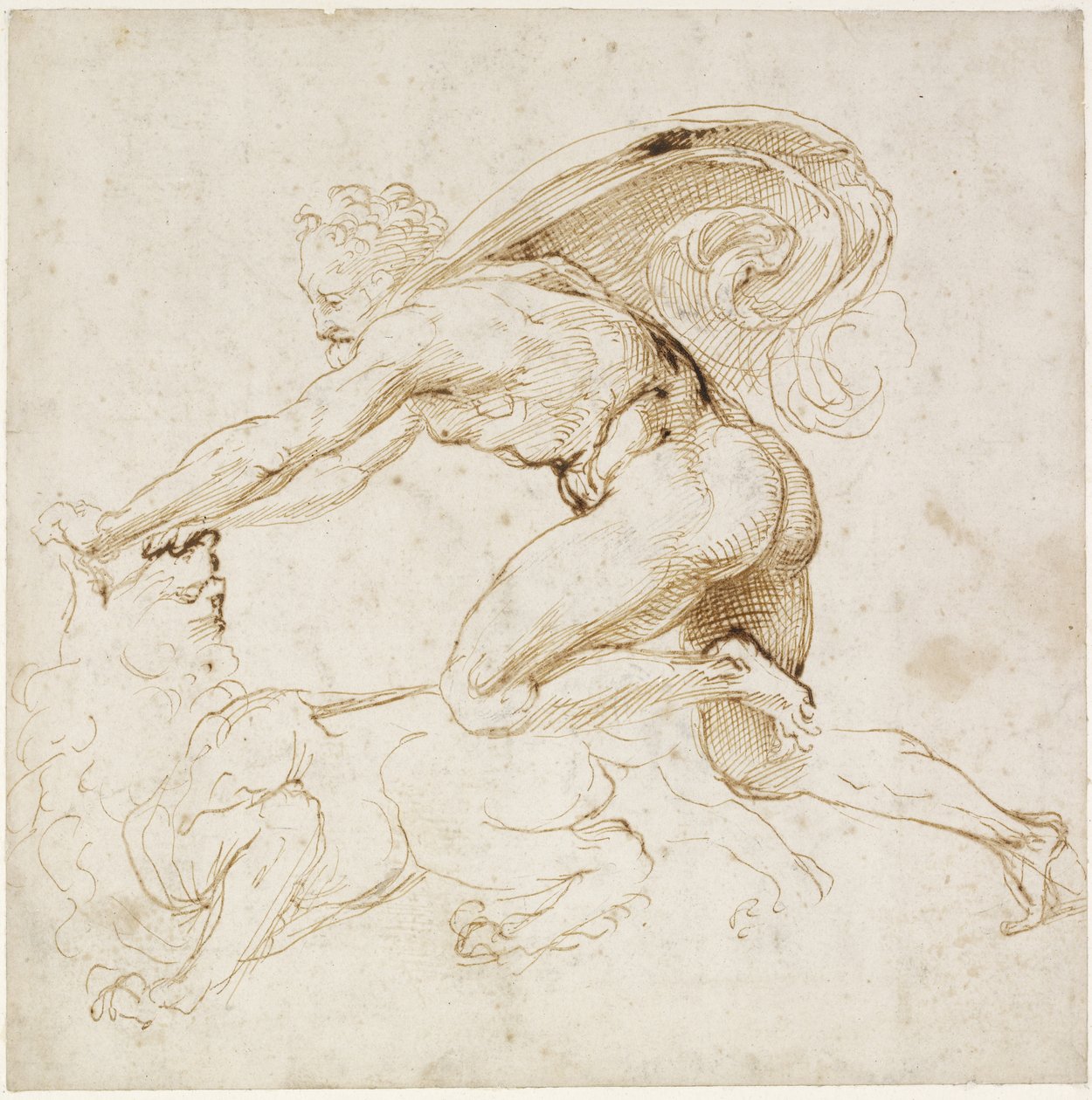Recto: Hercules overpowering the Nemean lion , WA1846.181 (penna & brunt bläck över blind stylus och spår av bly eller krita) av Raffaello Sanzio Raphael