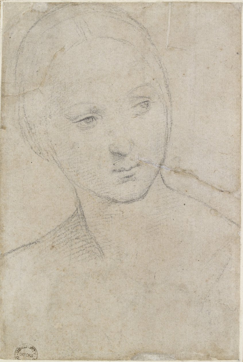 Recto: Study of the Head of a young Woman, WA1846.157 (svart krita på benvitt papper) av Raffaello Sanzio Raphael
