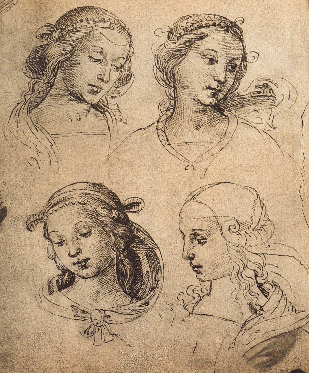 Studie av fyra kvinnliga ansikten; teckning av Raphael. Gallerie dellAccademia, Venedig av Raffaello Sanzio Raphael