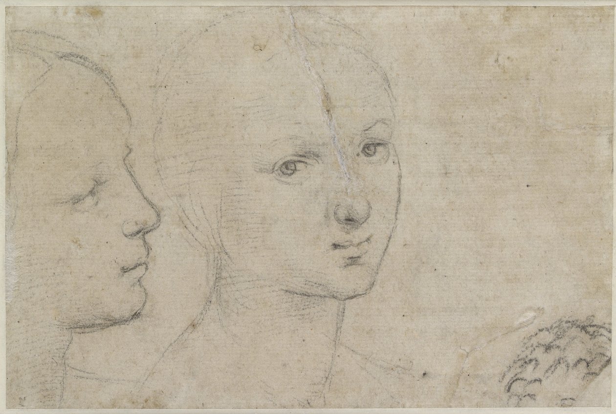 Verso: Två studier av en ung kvinnas huvud, WA1846.157 (svart krita på benvitt papper) av Raffaello Sanzio Raphael