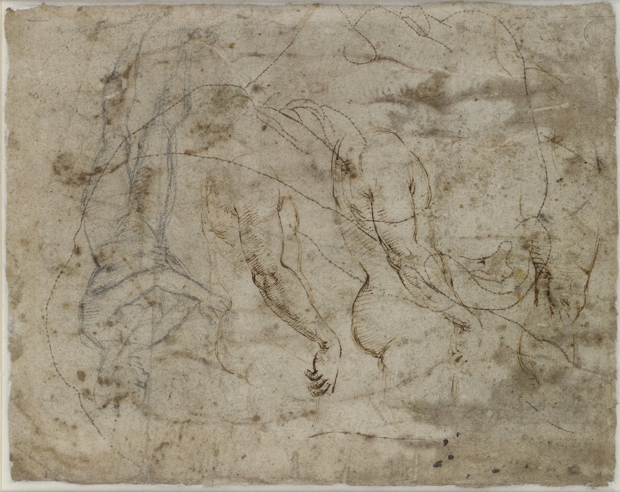 Verso: två studier av armar, en profil som tittar uppåt och en stående figur, WA1846.164 (penna & bläck, svart krita, profilen stickad för överföring) av Raffaello Sanzio Raphael