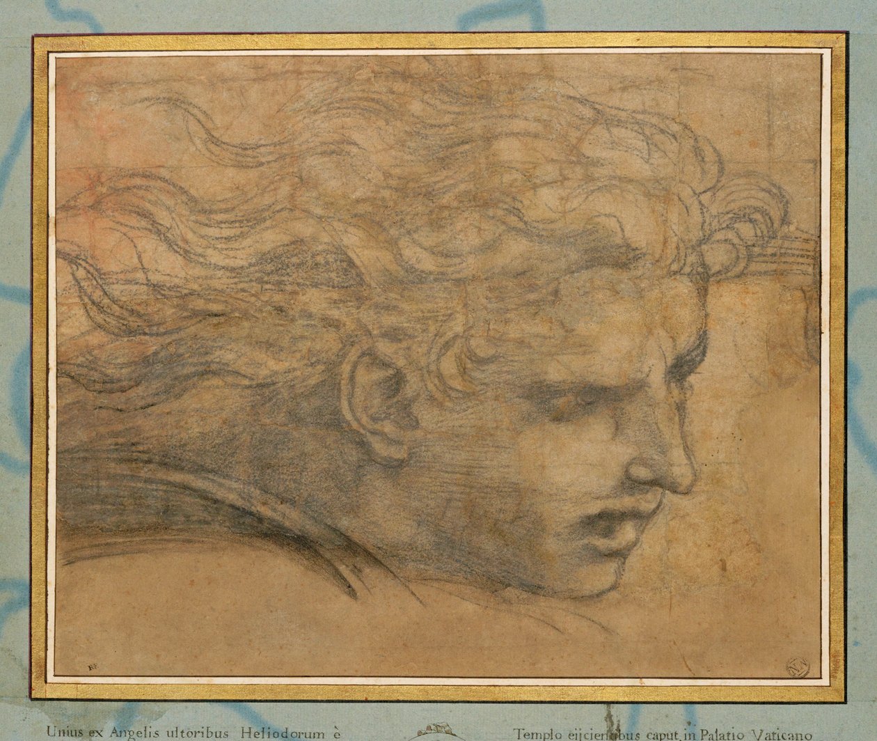 Huvud av en ung man, tre fjärdedelar mot höger ... av Raphael (1483-1520)