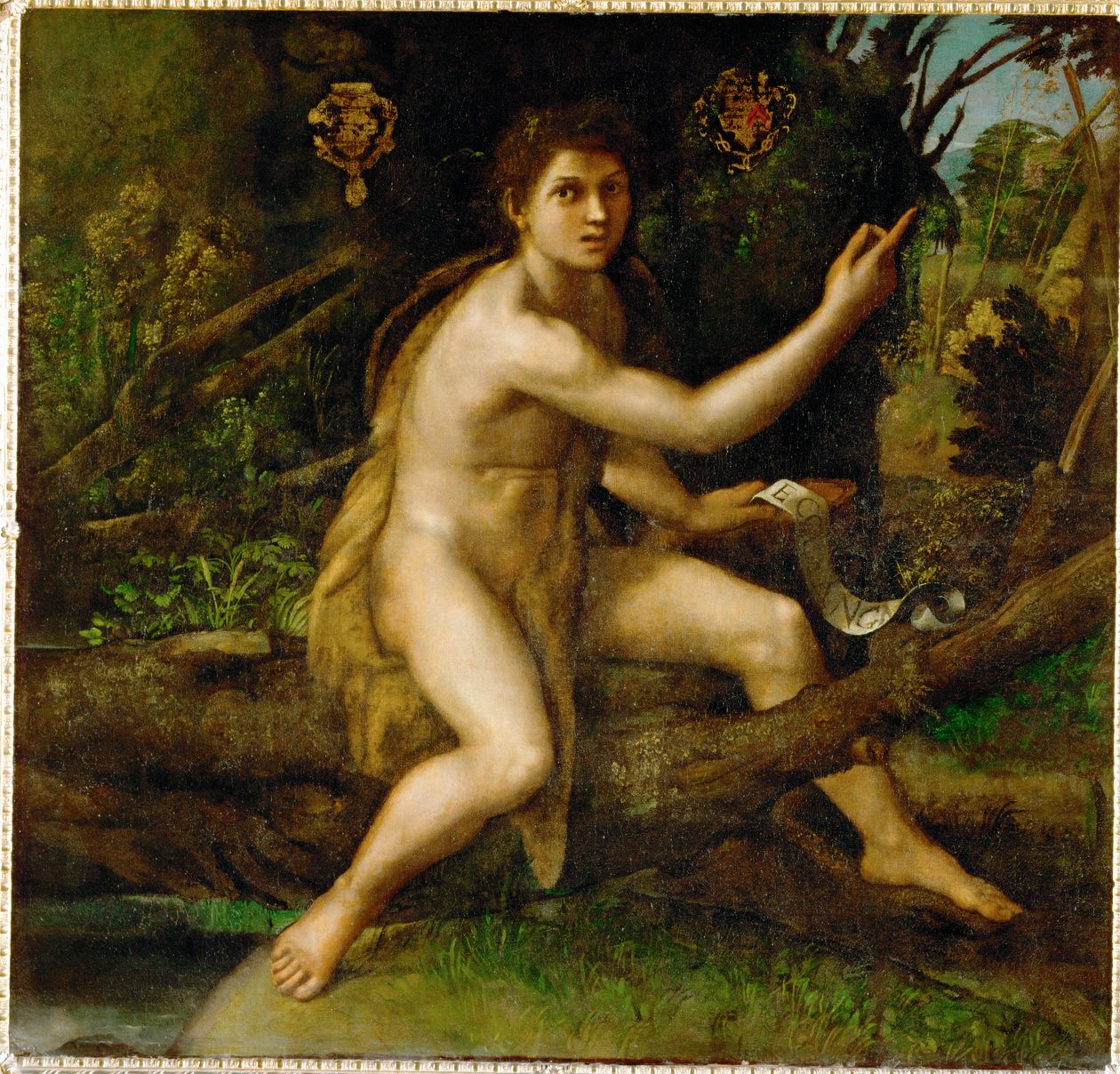 Johannes Döparen i öknen, visar trädet som ... av Raphael (1483 1520)