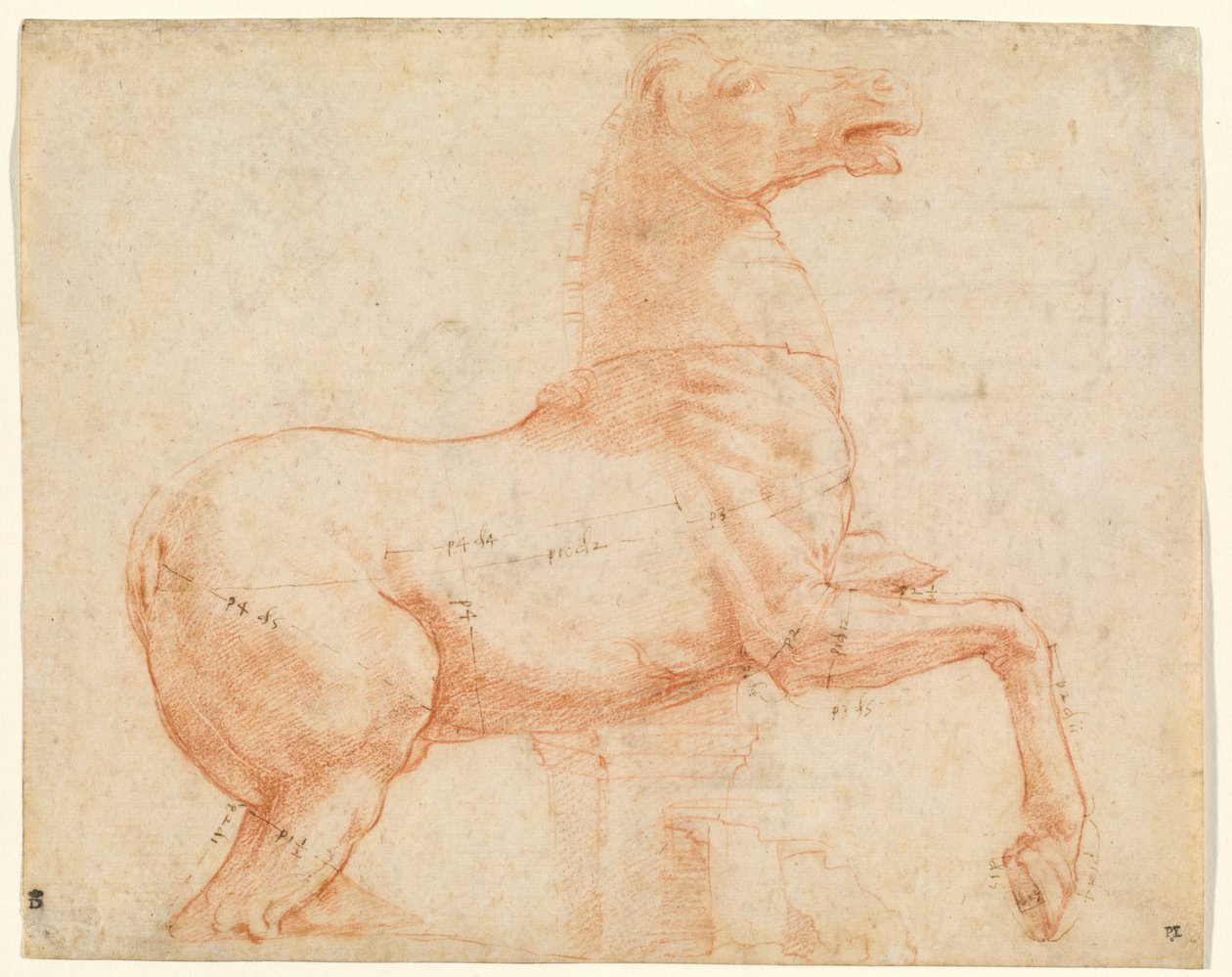 A Marble Horse on the Quirinal Hill (recto), c.1513 (röd krita, penna, brunt bläck, blyspets & penna) av Raphael (1483 1520)