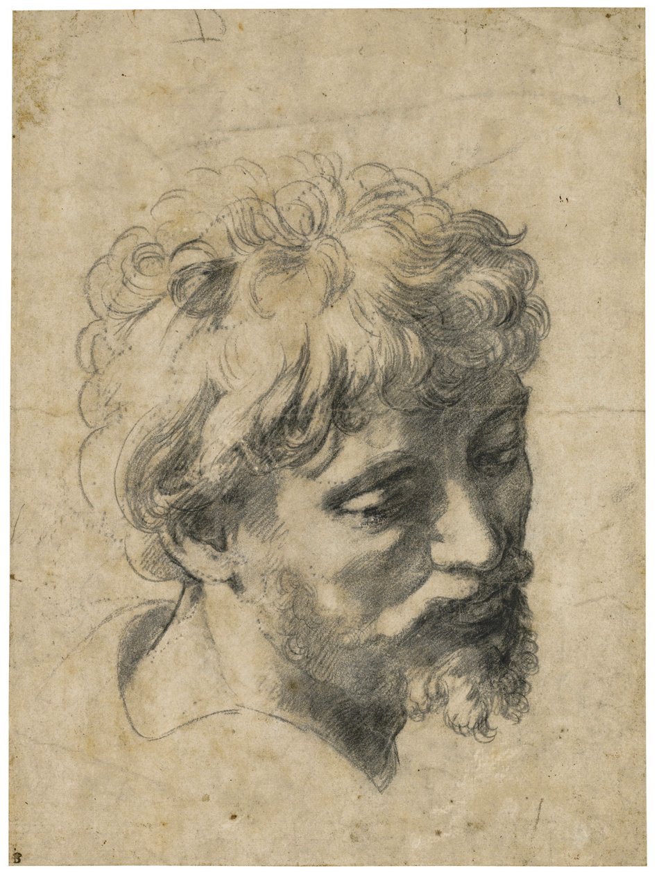 ""Porträtt av en ung apostel"" (Head of Young Apostle) Kol på papper av Raphael (Raffaello Sanzio) (1483-1520) Privat samling av Raphael
