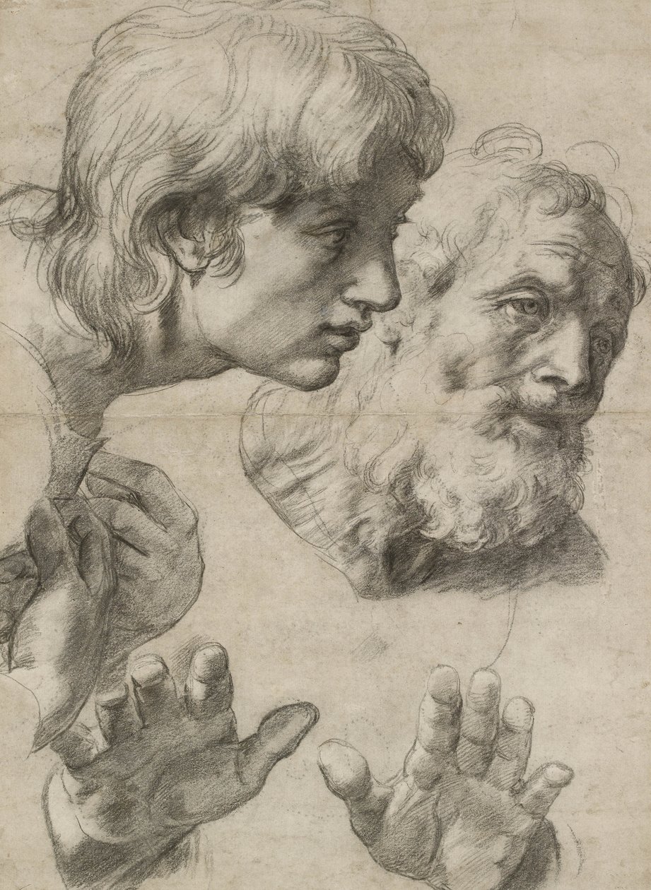 Studier av två apostlars huvuden och deras händer (svart krita berörd med vitt på gråaktigt papper) av Raphael