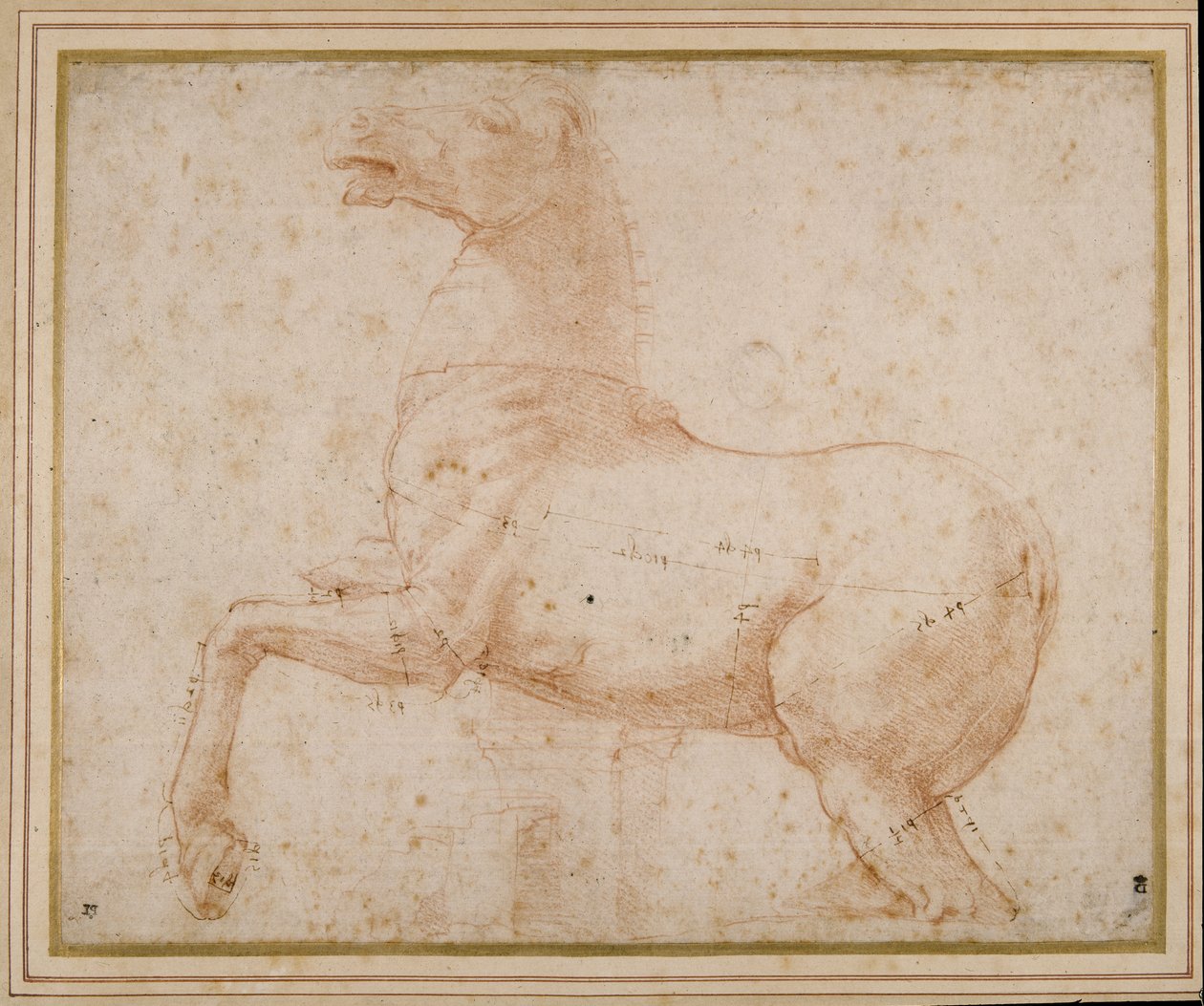 Studie av en häst (penna & bläck och penna på papper) av Raphael