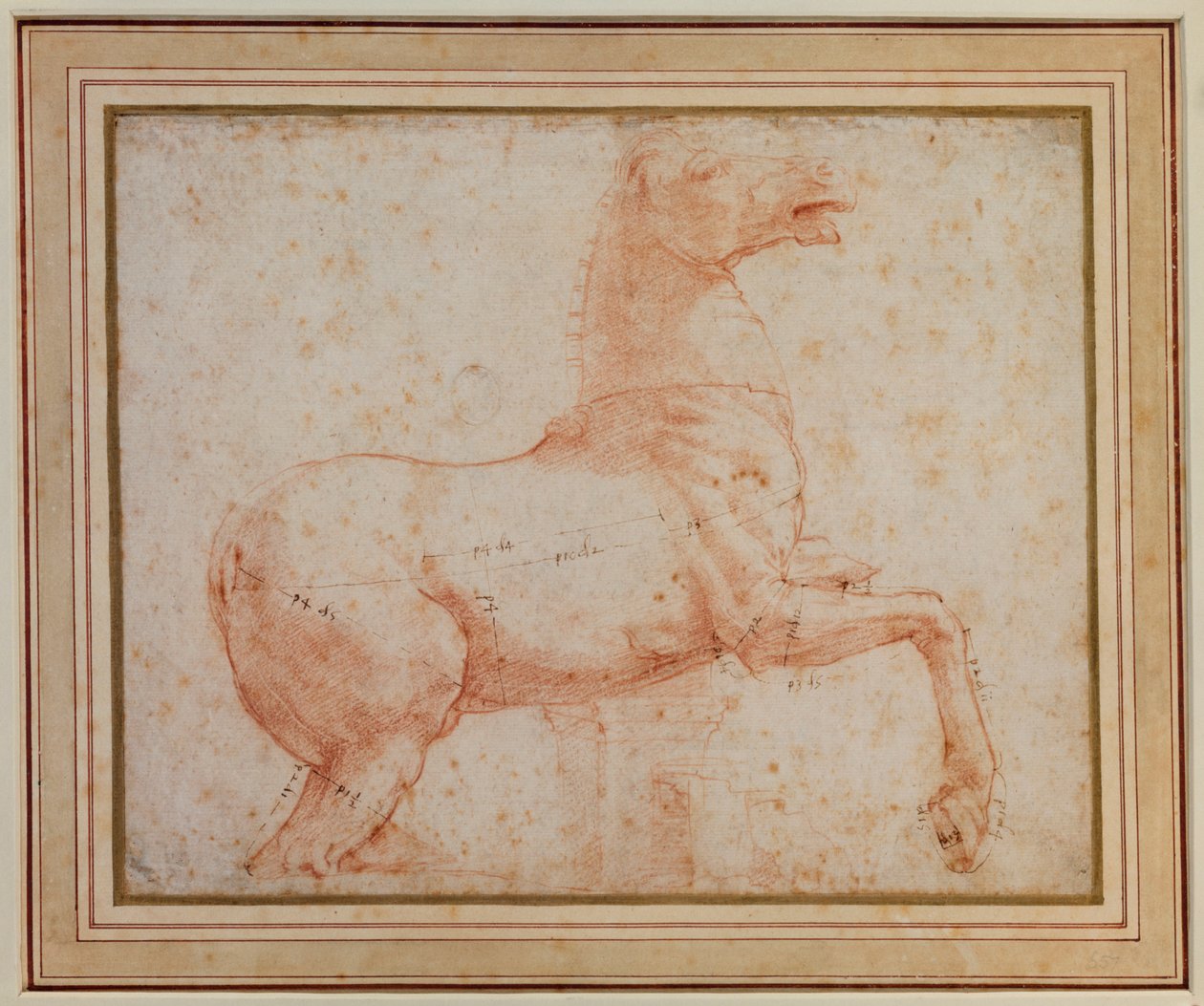 Studie av en av Quirinal-marmorhästarna (röd krita över pekpennan) av Raphael