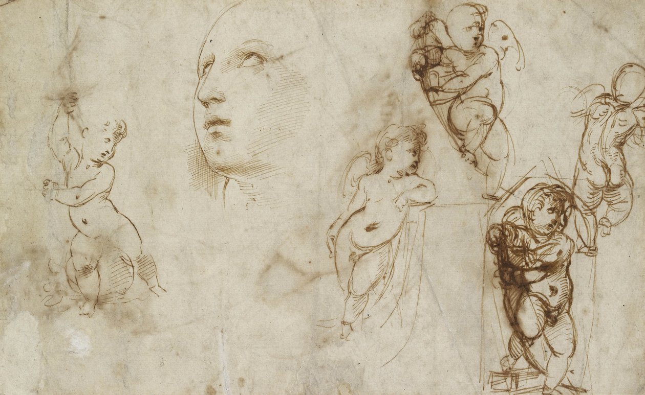 Olika studier, främst för Borghese-Beckford St Catherine (penna och brunt bläck på benvitt papper) av Raphael
