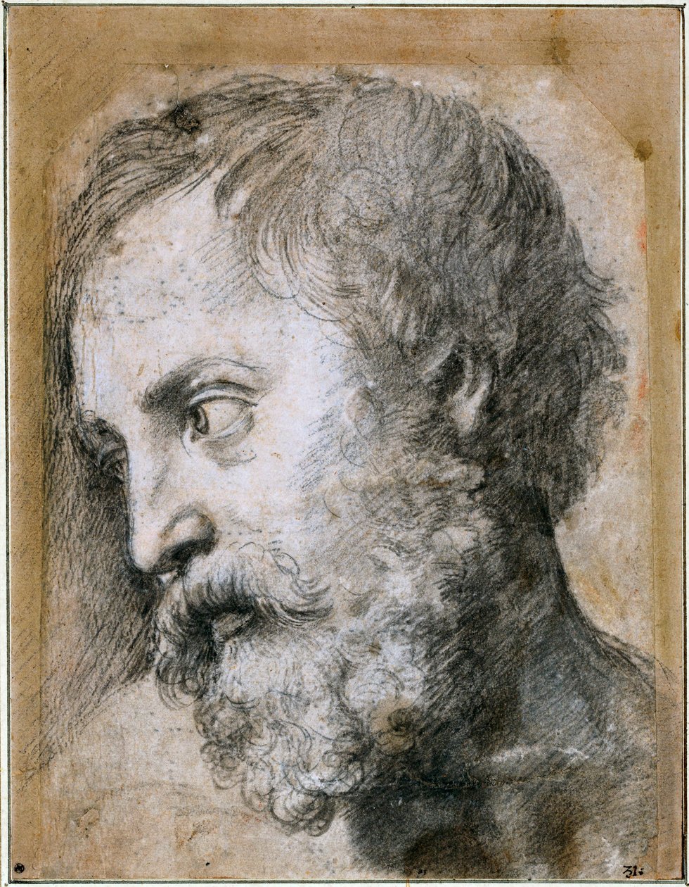Chef för en apostelstudie för förvandling, 1519-1520 av Raffaello Sanzio Raphael