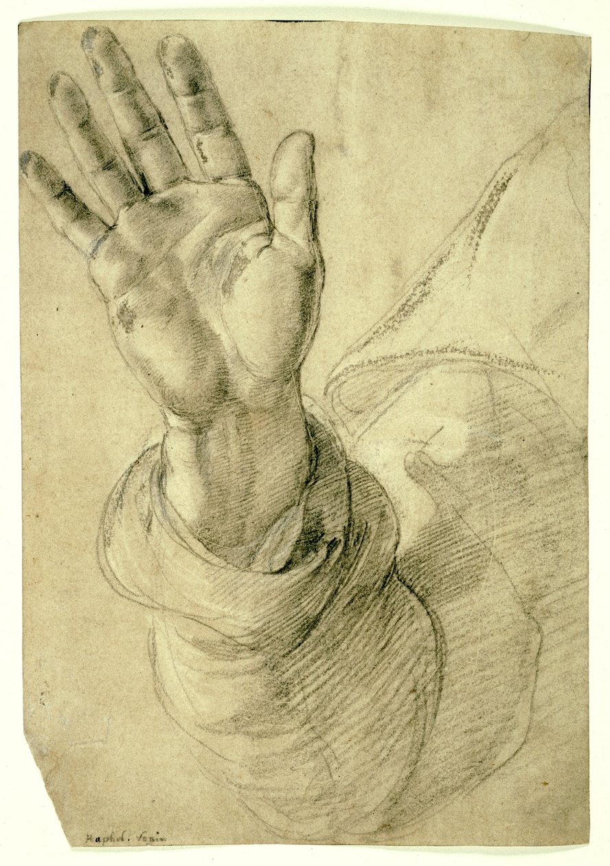 Upphöjd höger hand, med handflatan vänd utåt: Study for Saint Peter, 1518-20 av Raphael