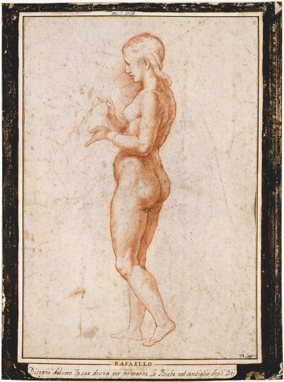 Ung kvinnlig figur i profil, ca 1517. av Raphael
