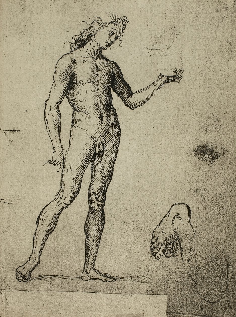 Manlig nakenstudie; teckning av Raphael. Gallerie dellAccademia, Venedig av Raffaello Sanzio Raphael