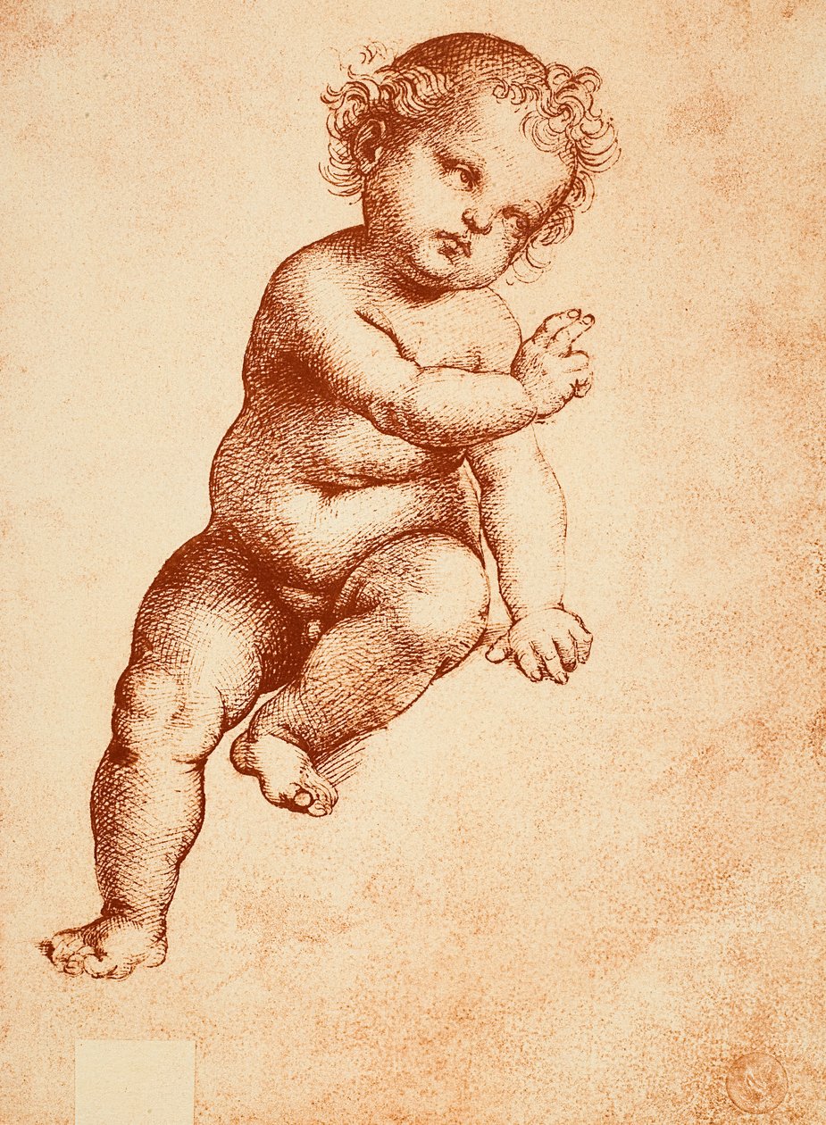 Studera för ett Jesusbarn, teckning av Raphael. Gallerie dellAccademia, Venedig av Raffaello Sanzio Raphael