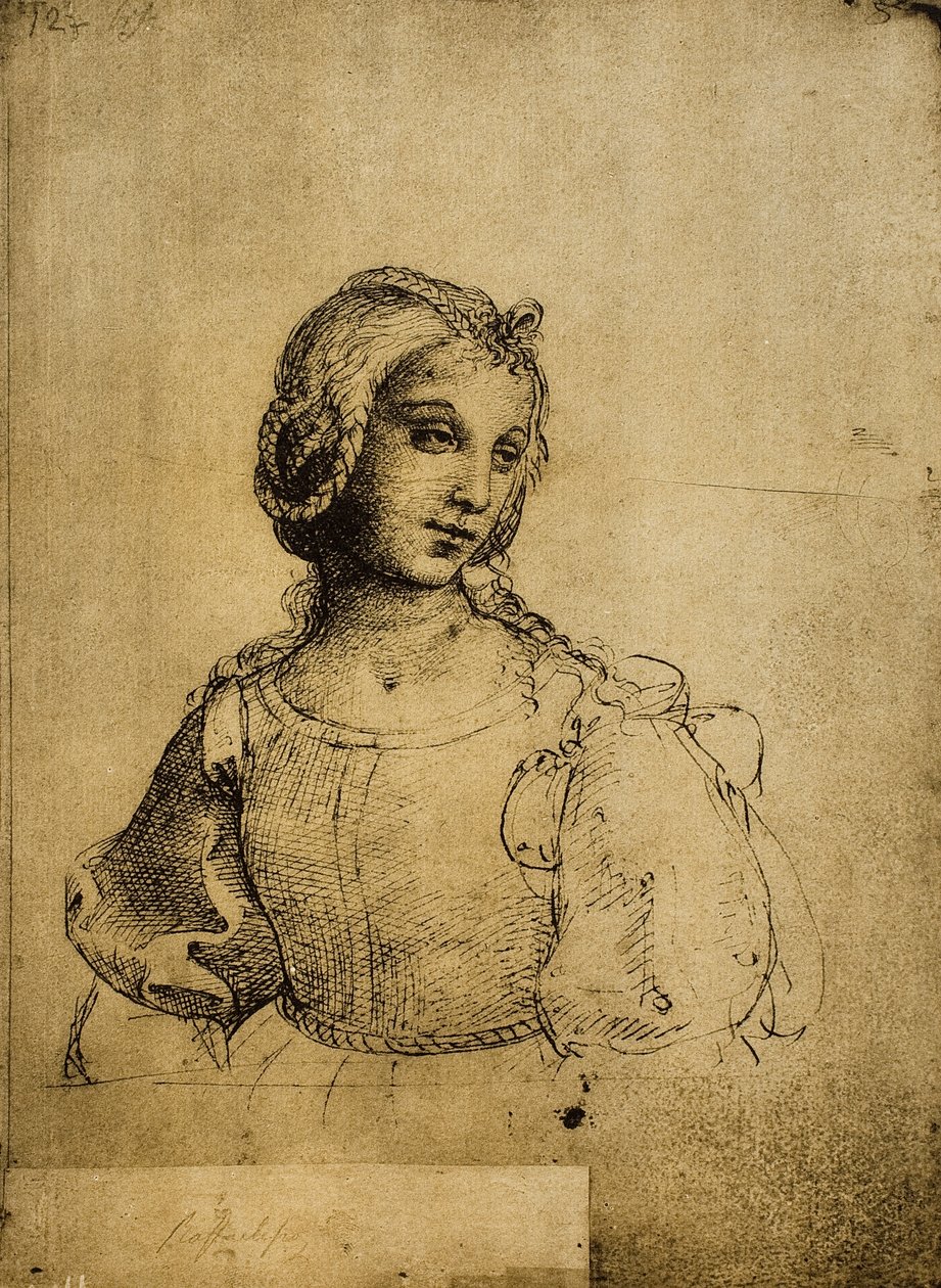 Studie av en kvinna; teckning av Raphael. Gallerie dellAccademia, Venedig av Raffaello Sanzio Raphael