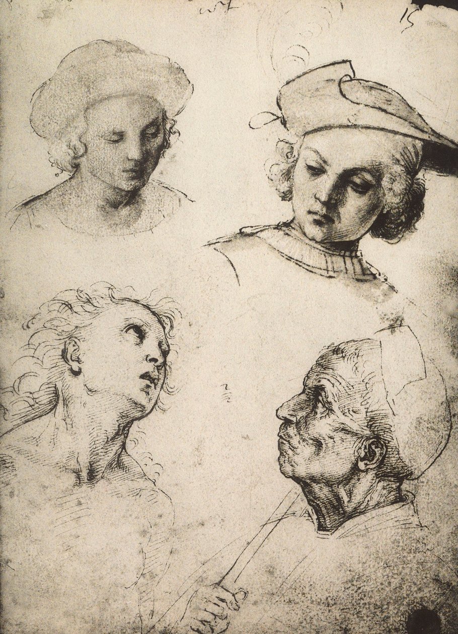 Studie av fyra manliga ansikten; teckning av Raphael. Gallerie dellAccademia, Venedig av Raffaello Sanzio Raphael