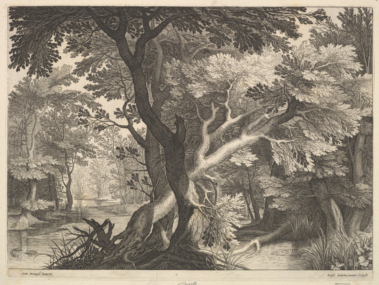 Skogbevuxen landskap. av Raphael Sadeler
