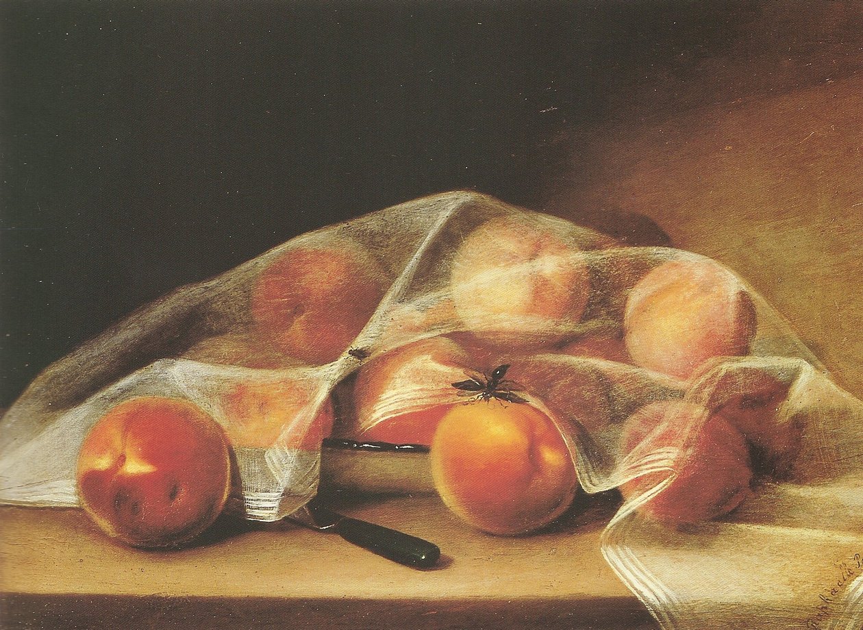 Fruktbitar med persikor täckta av en näsduk-raphaelle peale av Raphaelle Peale