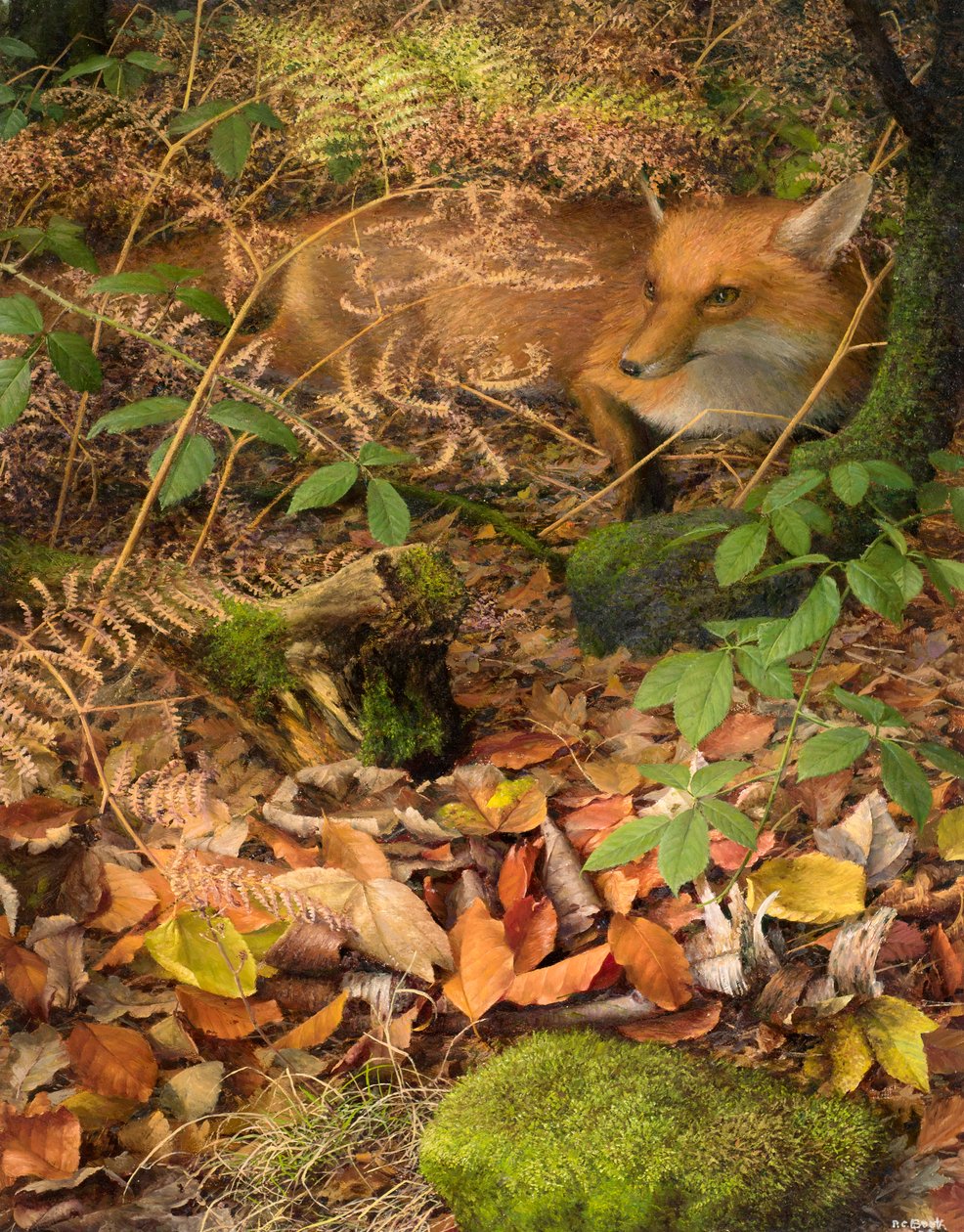 Autumn: a fox resting among the fallen Leaves, 2005 (olja på pannå) av Raymond Booth