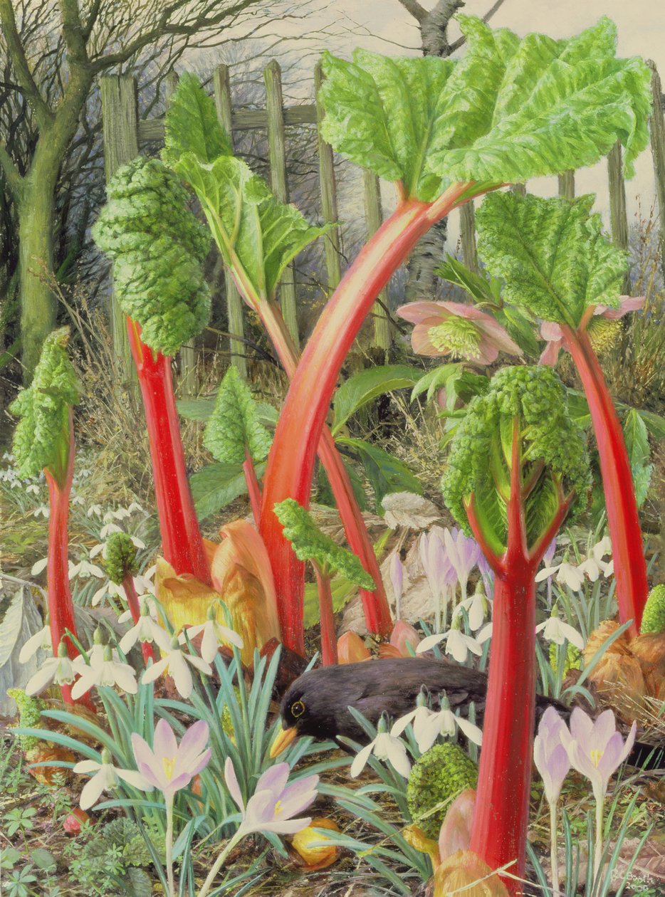 In the Rhubarb Patch, 2000 (olja på pannå) av Raymond Booth