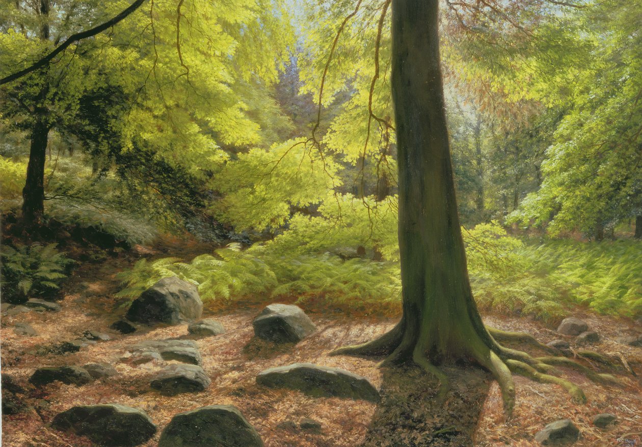 Vårsolsken i Adel Woods av Raymond Booth
