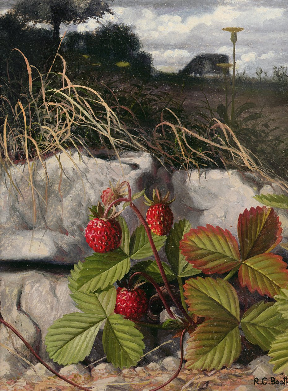 Jordgubbar (olja på pannå) av Raymond Booth