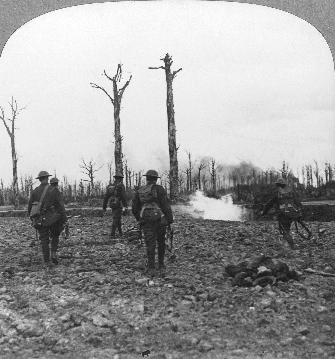 Brittiska trupper ockuperar Houthulstskogen, Flandern, Belgien, första världskriget, c1914-c1918 av Realistic Travels Publishers