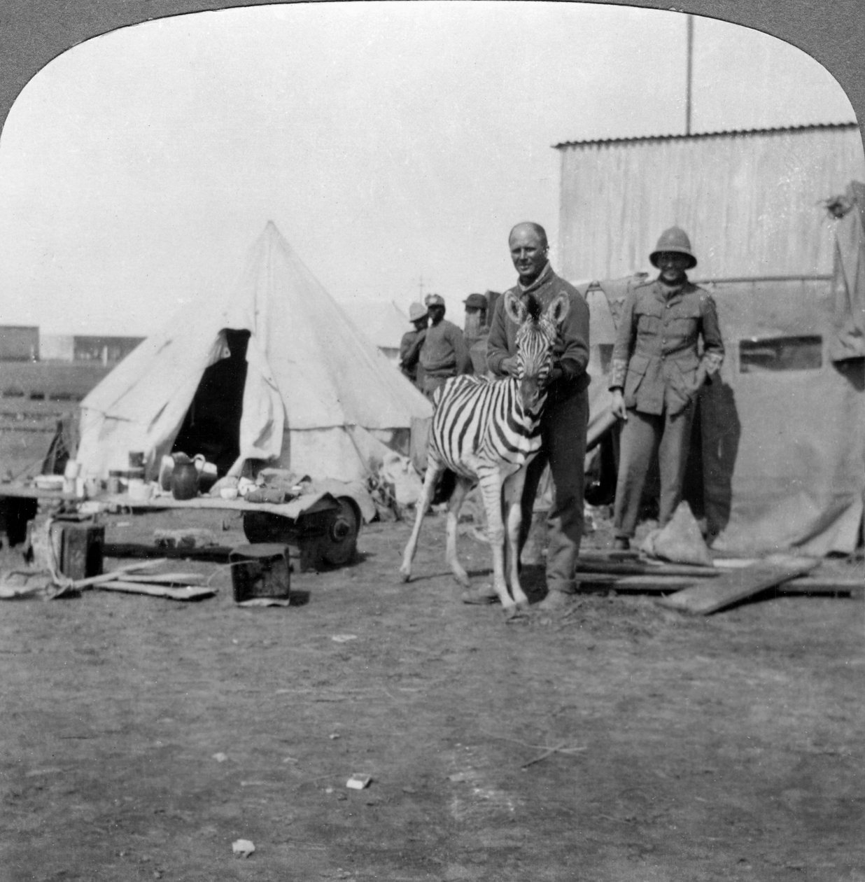 Sydafrikanska skyttar med sin husdjurszebra, Östafrika, första världskriget, 1914-1918. av Realistic Travels Publishers