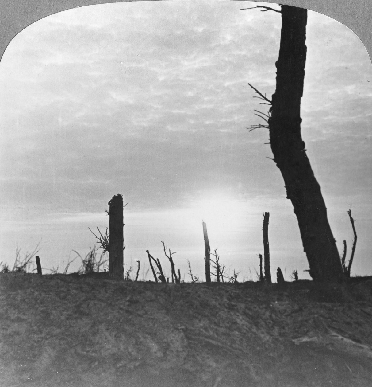 Solen går ner över ingenmansland på Somme, Frankrike, första världskriget, c1914-c1918 av Realistic Travels Publishers