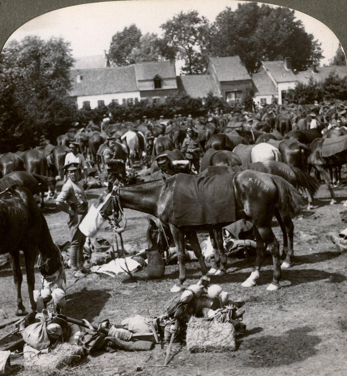 Trupper som matar sina hästar och vilar på marschen, första världskriget, 1914-1918. av Realistic Travels Publishers