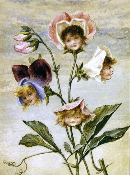 Pelargon & Sweet Pea - Blomsterbarn - ett par (akvarell & kroppsfärg på papper) av Rebecca Coleman