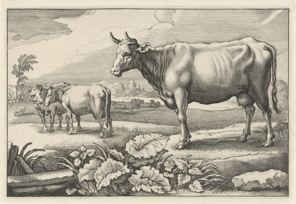 Betesmark med kor Diversa Animalia Quadrupedia (serietitel) av Reinier van Persijn