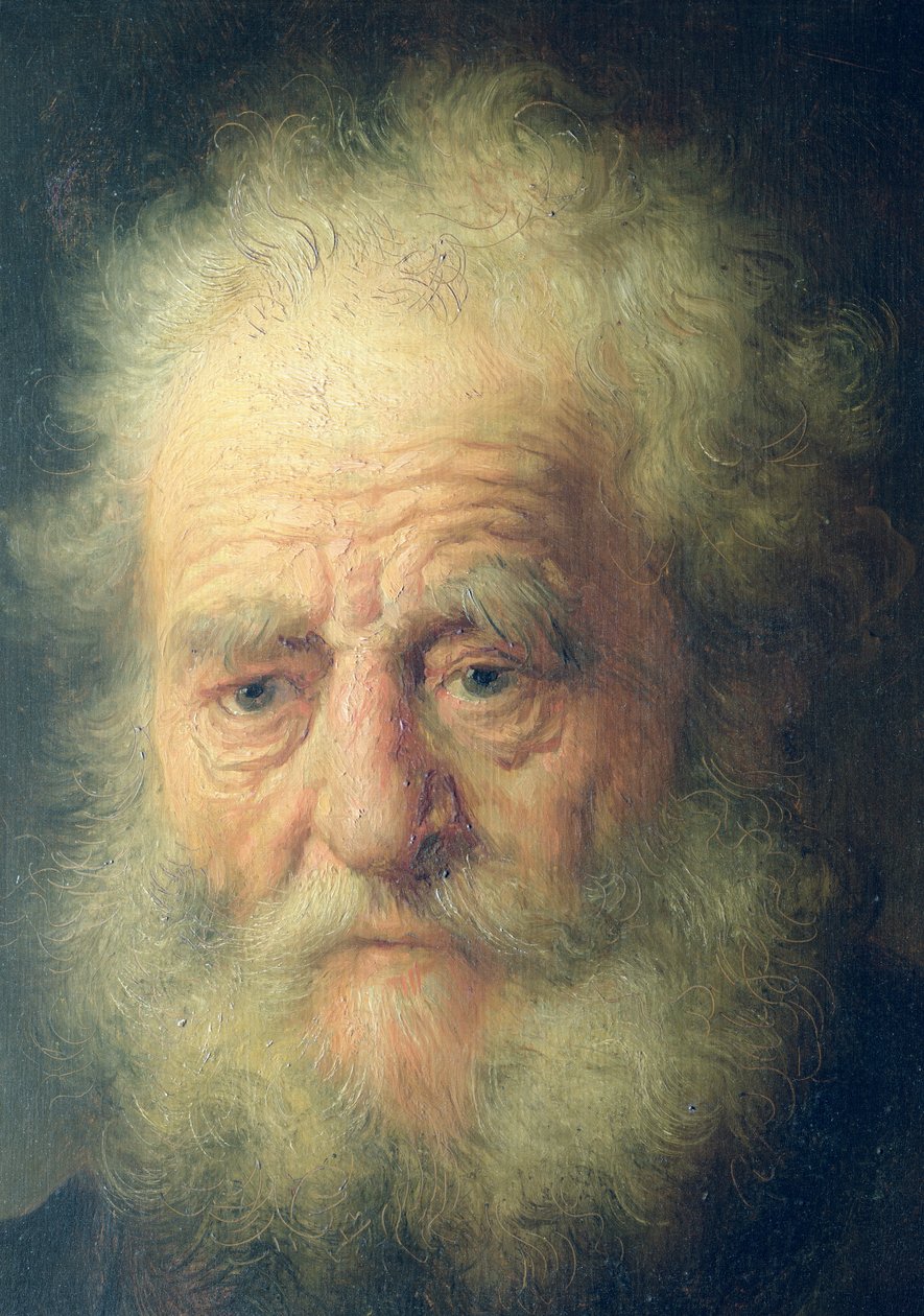 Bust of an Old Man with a Gold Chain  (detail) av Rembrandt van Rijn