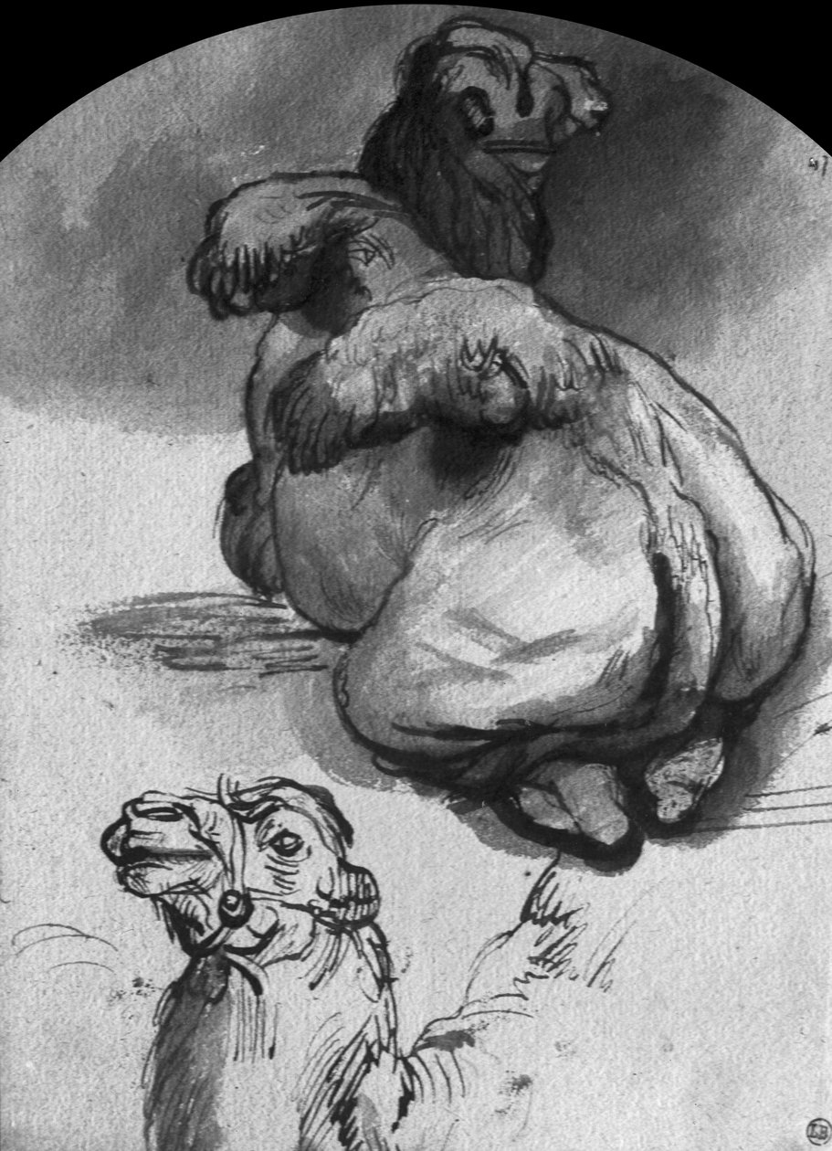 Kameler (penna och bläck och tvätta på papper) av Rembrandt van Rijn